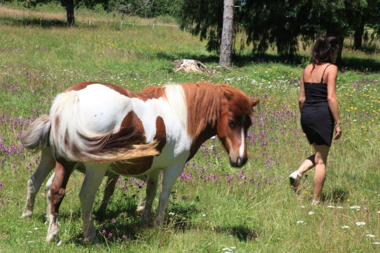 Chalvignac Hostellerie La Bruyere מראה חיצוני תמונה